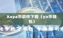 全球最大电子数字钱包：全面解析与使