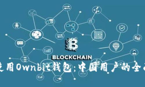 如何使用Ownbit钱包:中国用户的全面指南