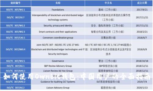 如何使用Ownbit钱包:中国用户的全面指南