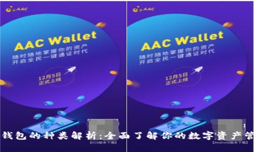 区块链钱包的种类解析:全面了解你的数字资产管理工具