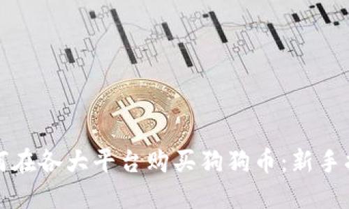 如何在各大平台购买狗狗币:新手指南
