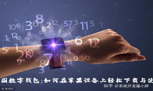 中国数字钱包:如何在苹果设备上轻松下载与使用