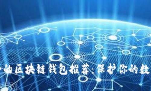 最安全的区块链钱包推荐:保护你的数字资产