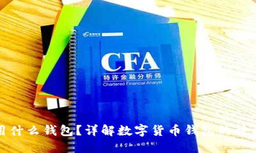 数字货币使用什么钱包?详解数字货币钱包的种类与选择指南
