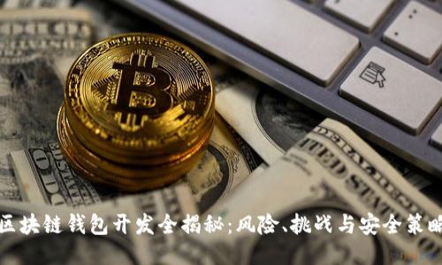 区块链钱包开发全揭秘:风险、挑战与安全策略