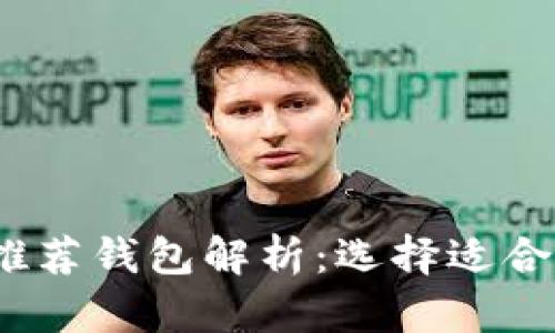 2023年数字货币私募推荐钱包解析:选择适合你的数字资产管理工具