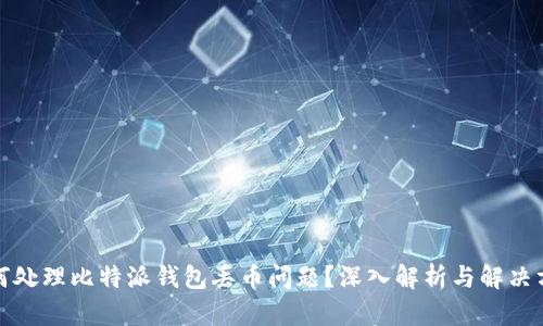 如何处理比特派钱包丢币问题?深入解析与解决方案