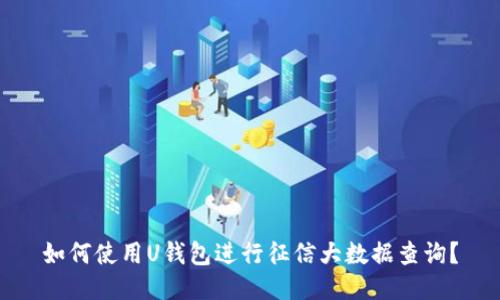 如何使用U钱包进行征信大数据查询？