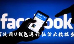 如何使用U钱包进行征信大数据查询？