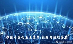 中国币圈的未来展望：机遇与挑战并存