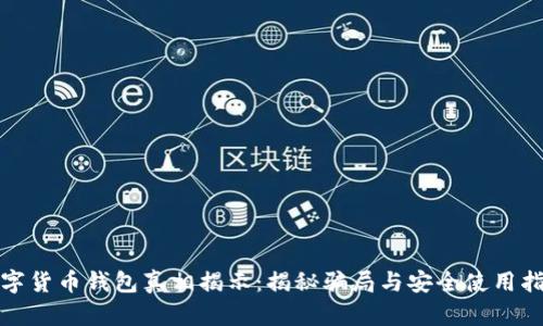 数字货币钱包真相揭示:揭秘骗局与安全使用指南