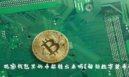 ### 观察钱包里的币能转出来吗?解锁数字货币的秘密