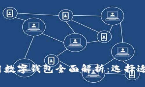 2023年国内常用数字钱包全面解析:选择适合你的支付工具