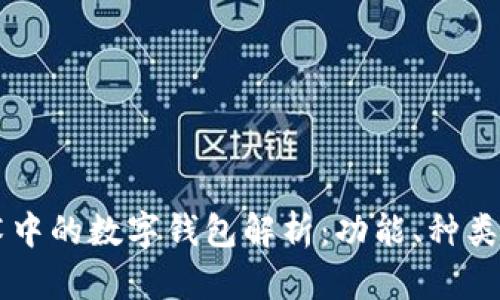 区块链技术中的数字钱包解析:功能、种类及使用指南