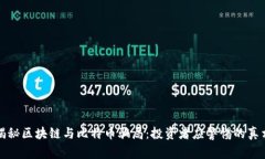 揭秘区块链与比特币骗局：投资者应警