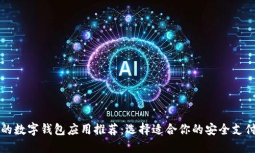 可靠的数字钱包应用推荐:选择适合你的安全支付工具