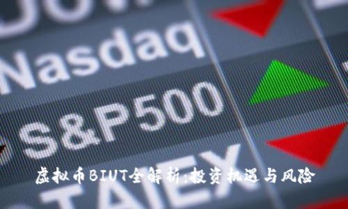 虚拟币BIUT全解析:投资机遇与风险