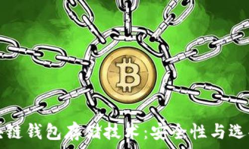 了解区块链钱包存储技术:安全性与选择全解析