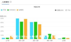全面解析BitDock的使用技巧与实战应用