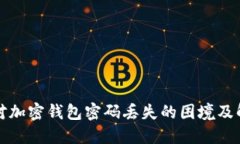 如何应对加密钱包密码丢失的困境及解
