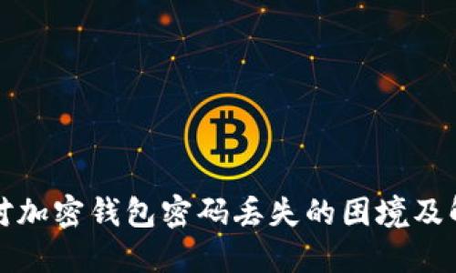 如何应对加密钱包密码丢失的困境及解决方案