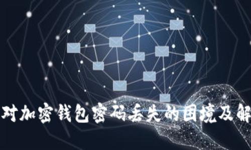如何应对加密钱包密码丢失的困境及解决方案