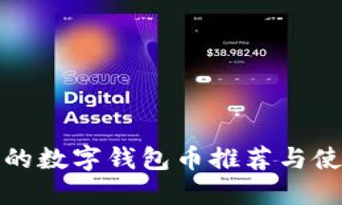 最安全的数字钱包币推荐与使用指南