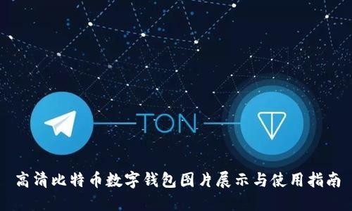 高清比特币数字钱包图片展示与使用指南