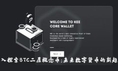 深入探索BTC二层概念币：未来数字货币