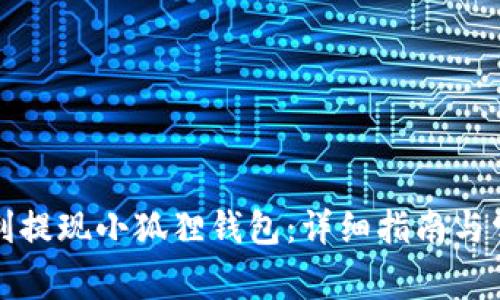 如何顺利提现小狐狸钱包:详细指南与常见问题