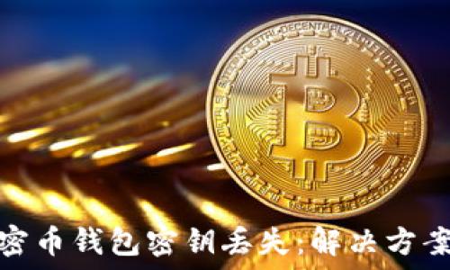 如何应对加密币钱包密钥丢失:解决方案与预防措施