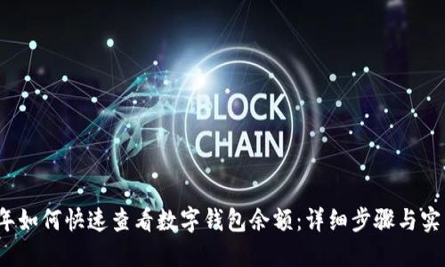 2023年如何快速查看数字钱包余额：详细步骤与实用技巧