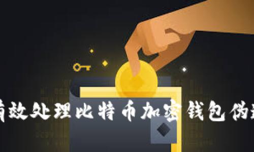 如何有效处理比特币加密钱包伪造问题