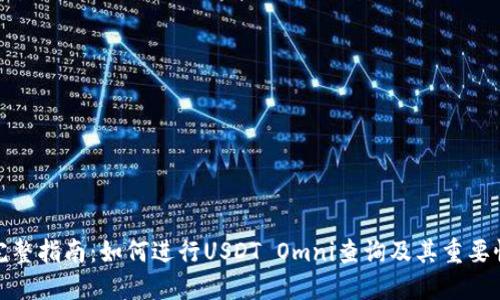 完整指南:如何进行USDT Omni查询及其重要性