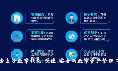 探索麦子数字钱包:便捷、安全的数字资产管理工具