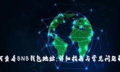 如何查看BNB钱包地址：详细指南与常见
