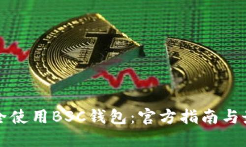 如何安全使用BSC钱包:官方指南与最佳实践