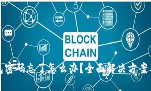 比特币钱包密码忘了怎么办?全面解决方案与实用建议