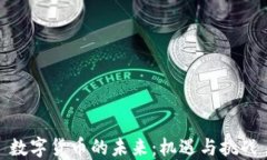 数字货币的未来：机遇与挑战