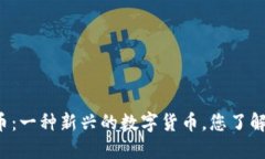 虚拟币：一种新兴的数字货币，您了解