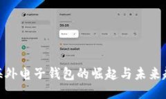 : 海外电子钱包的崛起与未来趋势