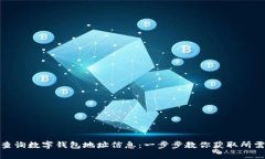 如何查询数字钱包地址信息：一步步教